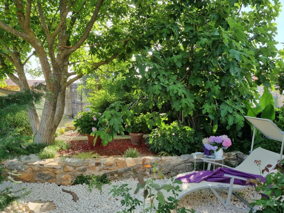 Stonehouse Ana With Jacuzzi Rovinj-Krmed Βίλα Εξωτερικό φωτογραφία
